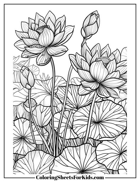 Lotus Flower Coloring Book