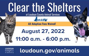 Loudoun animal shelter. At Loudoun County Animal Services (LCAS), we work each day to ensure a compassionate, humane community for animals and people. LCAS operates an animal shelter, which provides for companion animals who have been surrendered by their owners or found stray in the county. The shelter also has pets for adoption. 