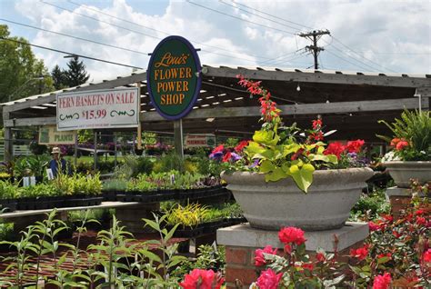 Louis Flower Power Shop - Lexington, KY - Nextdoor