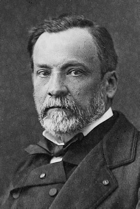 Louis Pasteur Wikipedia. 
