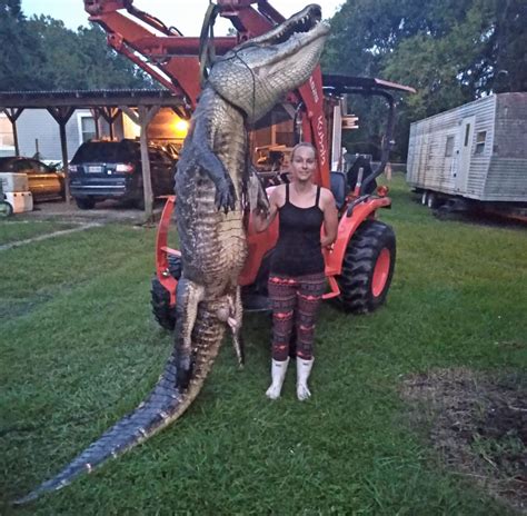 Louisiana Hunter Tags Massive 11-Foot Alligator Outdoor Life