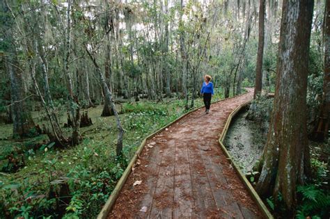 Louisiana national parks. Things To Know About Louisiana national parks. 