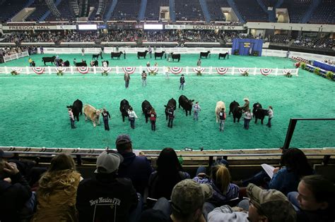 The North American International Livestock Exposition (NAILE) is the world''s largest all-breed, purebred livestock exposition. Ten different species of li. North American International Livestock Exposition 2020 is held in Louisville KY, United States, from 11/3/2020 to 11/3/2020 in Kentucky Exposition Center.