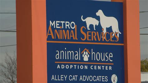 Louisville metro animal services adoption. Louisville Metro Government Animal Adoption Coordinator. SALARY. $15.21 Hourly. ... Metro Animal Services. OPENING DATE. 07/07/2014. CLOSING DATE. 7/15/2014 11:59 PM Eastern. Description. ESSENTIAL FUNCTIONS: Coordinates all aspects of the on-site and off-site animal adoption, rescue and foster program 