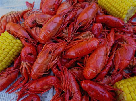 Lousina crawfish. The Louisiana crawfish industry has developed best management practices (BMPs) to respond to the need to improve economic and environmental performance. Voluntary BMPs in crawfish production are an effective and practical means for conserving water, reducing energy use and pumping costs, protecting the environment, and … 