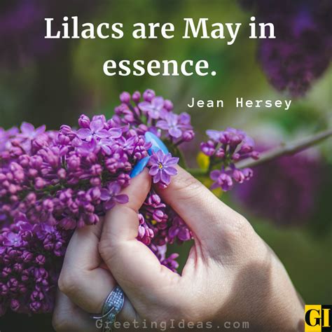 Love Lilac Onlyfans Leak