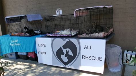 Paws Rescue League Inc. May 2024 Adoption Event! Sunday, May 19th 2024 Petco @ Dayville, CT 1086 Killingly Cmns Dayville, CT 06241 10am-2pm. 