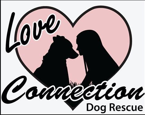 Love Connection Dog Rescue is a 501(c)3 foster-based rescue whose founders have been saving dogs and making loving matches for over ten years. We take in all sizes, ages, and breeds of dogs and puppies and work to make lasting connections to families of all shapes and sizes too.. 
