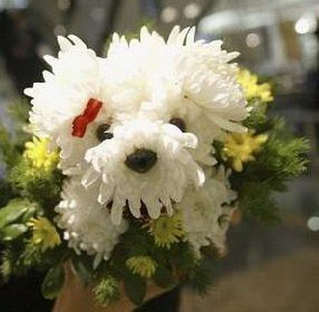 Lovely Flower Dog - Design Swan