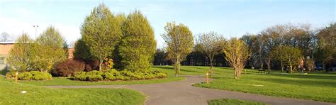 Lovely sunset on the park tonight ☀️ - Friends of Garston Park …