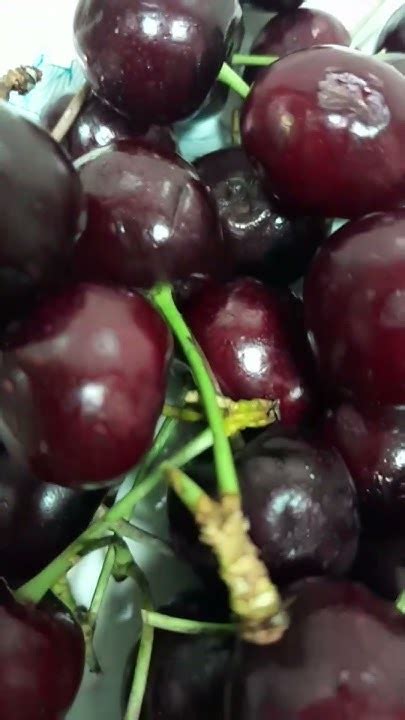 Lovifresh Leaked XXX 💦