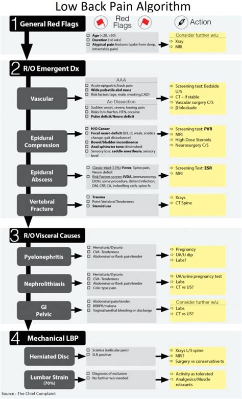 Low Back Pain Algorithm and Differential Diagnosis Manual of Medicine