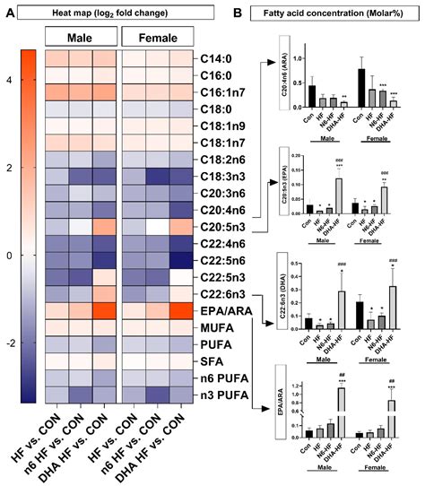 Low Dietary n6/n3 Ratio Attenuates Changes in the NRF 2 Gene