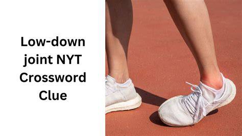 Low Down Crossword Clue