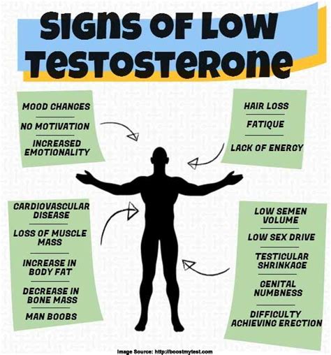 Low Testosterone: The Complete Guide — Low T Symptoms and …