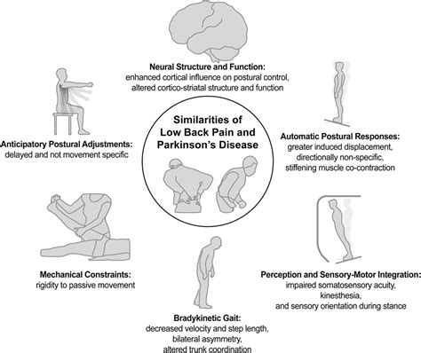 Low back pain in Parkinson