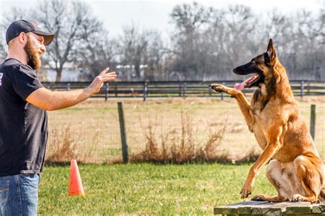 Low cost dog training near me. Saturday. 8:00 AM - 10:00 PM. Sunday. 8:00 AM - 10:00 PM. Train your dog with our 3 week in-depth program. Free collar, bed & one-on-one instruction included. Dog training made easy! 