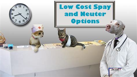Low cost spay neuter. low-cost spay/neuter certificates. SpayGeorgia provides financial assistance to enable pet owners to purchase spay or neuter services. Veterinarians … 