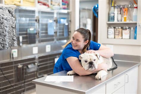 Low cost vet clinic kansas city. Things To Know About Low cost vet clinic kansas city. 