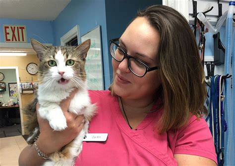 Low cost vet port st lucie. Associate Veterinarian. Kelly's Animal Hospital. Jan 2023 - Present 1 year 5 months. United States. The Humane Society of Saint Lucie County Graphic ... PT, cold- ... 