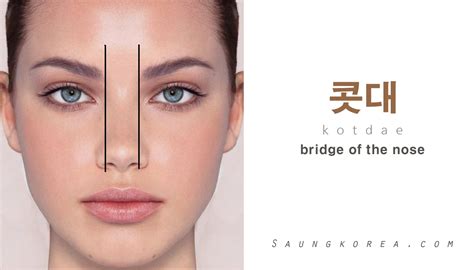 Low nose bridge. Things To Know About Low nose bridge. 