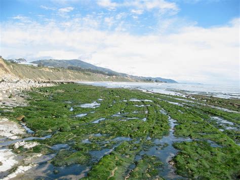 Low tide carpinteria. In a sense, today’s flood will become tomorrow’s high tide, as sea level rise will cause flooding to occur more frequently and last for longer durations of time. The red layer in the map represents areas currently subject to tidal flooding, often called “recurrent or nuisance flooding.”. 