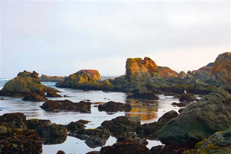 Low tide fort bragg. Things To Know About Low tide fort bragg. 
