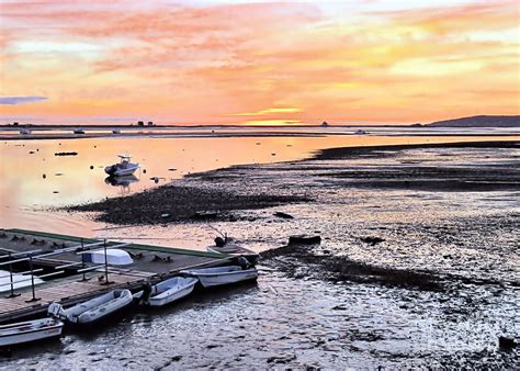 Picture of broad expanse of mudflats in harbor at low tide in plymouth, massachusetts stock photo, images and stock photography. Image 50330046..