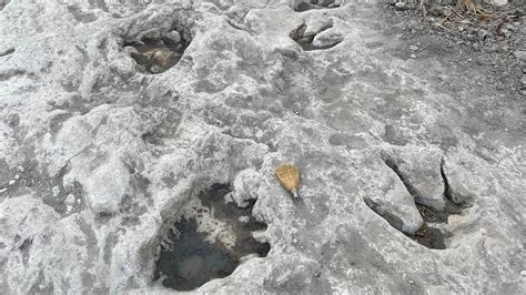 Low water levels reveal dinosaur tracks dating back 110 million years