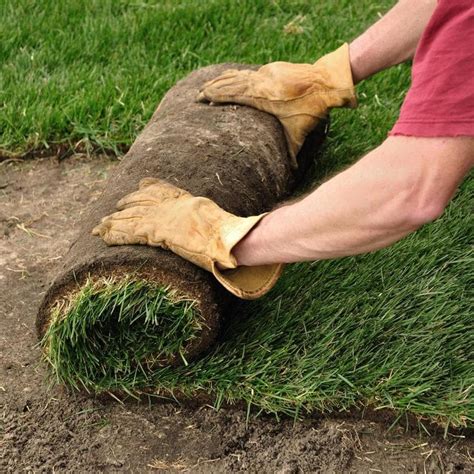 The price of sod also depends on whether