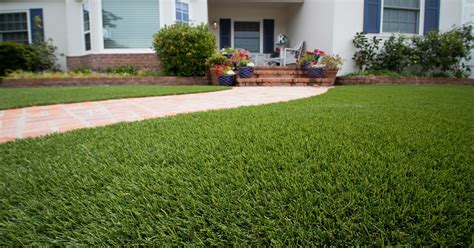Lowe's turf installation. TrafficMaster Clover Fescue is our top of the line roll bar artificial turf product: a lush feel and look for our most discerning customers. A lower pile weight for more comfort and the ultimate natural look: beautiful field, olive and lime green blades combined with a curly textured tan and green thatch imitate perfectly a well maintained and manicured lawn. 