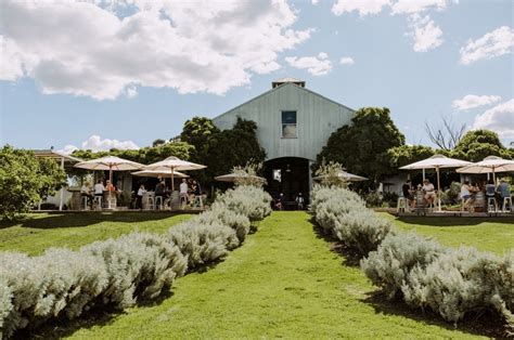 Lowe Family Wine Co - Mudgee Region