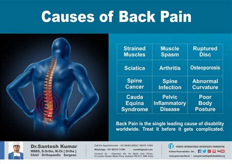 Lower Back Pain: Symptoms, Signs, Causes & Treatment - MedicineNet