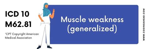 Lower extremity weakness icd 10. Segmental and somatic dysfunction of upper extremity. M99.07 is a billable/specific ICD-10-CM code that can be used to indicate a diagnosis for reimbursement purposes. The 2024 edition of ICD-10-CM M99.07 became effective on October 1, 2023. 