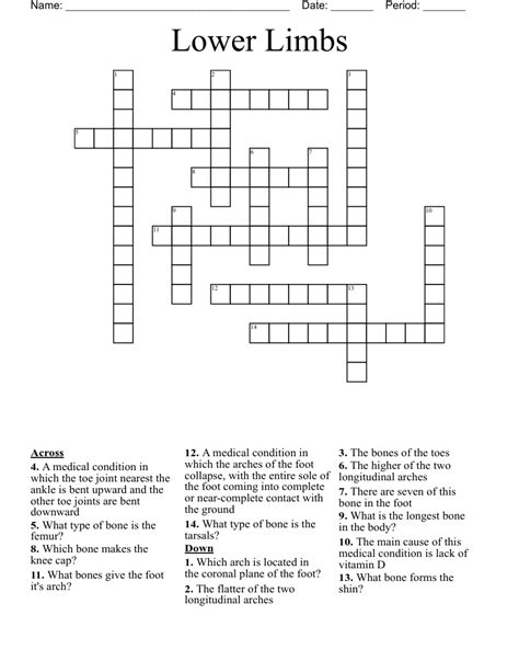 Lower limb crossword clue. Things To Know About Lower limb crossword clue. 