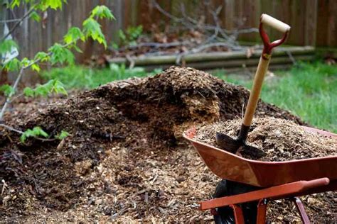 Bark dust. It's nothing more than pieces of bark and wood that have been run through a grinder. Simply spreading it over the open spaces in your beds will make them look fresh and finished. What Kinds …. 