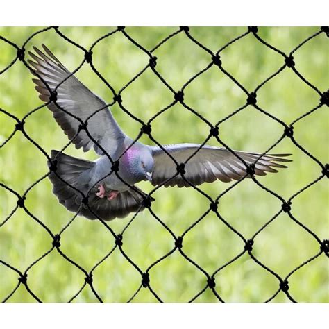 100 ft. x 14 ft. Standard Bird Netting. Add to Cart. Compare $ 107. 10 (46) Model# STS-50. Bird-X. 50 ft. Stainless Steel Bird Spikes Pigeons Starling Blackbirds Seagulls 6 in. Coverage. Add to Cart. Compare. ... Bird Xpeller Pro Electronic Bird Repeller Bird Control Model 1 for Pigeons, Starlings, Sparrows and Gulls. Add to Cart. Compare $ 49 .... 