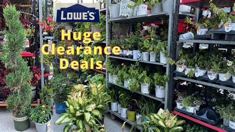Weekly Sale Items :: Lowe's Garden Center. Sale Items change weekly. Sales usually start on Wednesdays during May and June. All sales are of in-stock goods for cash and carry purchase. Purchase must be made in person and goods can not be held for future pick up at sale prices. All sales are while supplies last and no rain checks are issued. . 