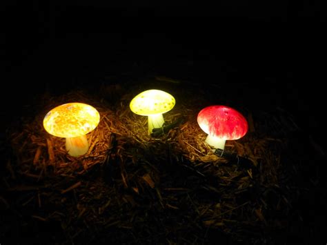 Find Outdoor Solar Japanese Zen Path Lights