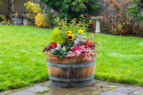 Lowes wine barrel planters. 27-in W x 37-in H Brown Wood Country Indoor/Outdoor Barrel. 48. Material: Wood. Container Size: Extra Large (65+ quarts) Shape: Round. Use Location: Indoor/Outdoor. Real Wood Products. 36-in W x 14-in H Brown Wood Rustic Indoor/Outdoor Barrel. 64. 