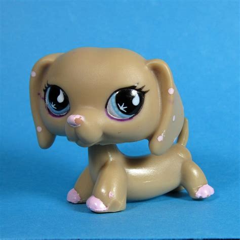 Buy WOLFGIRL LPS Great Dane 1647 Tan LPS Dachshund 2597 Blue Eyes Dog Puppy with Accessories Lot Figure Collection Kids Girls Boys Birthday Xmas Gift: ... Littletoy LPS Mocha Cream Brown Zig Zag Collie #2210 with Purple Eyes Puppy Dog Rare Old LPS Toys Puppy Action Figure Collectable Pets for Boys & Girls. $10.98 $ 10. 98. Get it as soon as ....