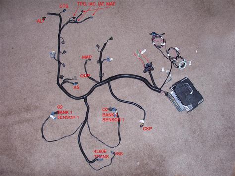  A standalone harness for those using an LS 58x engine 