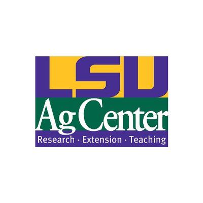 As stated in the fertility section, currently <strong>LSU AgCenter</strong> soil test-based phosphorus and potassium recommendations do not consider the ratoon rice crop. . Lsuagcenter