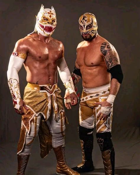 Luchador wrestlers. Saúl Armendáriz [1] (born May 20, 1970) [2] is an American-born Mexican luchador, or professional wrestler, who works as an exótico for several independent … 