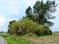 Luchtwachttoren - Wikipedia