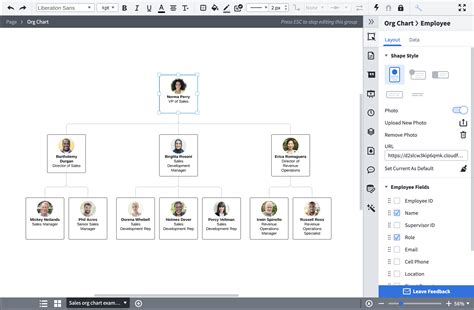 Lucidchart Org Chart Template