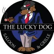 Lucky - The Lucky Dog Saloon & Grille, Conshohocken Traveller …