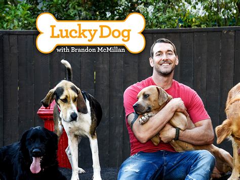 Lucky dog tv show. Intro. 3 x Emmy® Winning Host of Lucky Dog. Instagram: @animalbrandon. YouTube: Brandon McMillan. Have your dog trained at our world famous training ranch 👉 canineminded.com. Page · Public figure. (818) 300-2745. canineminded.com. Rating · 5.0 (1,735 Reviews) 