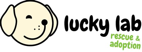 Lucky Lab Rescue & Adoption is a nonprofit 501c3 rescue organization. .... 