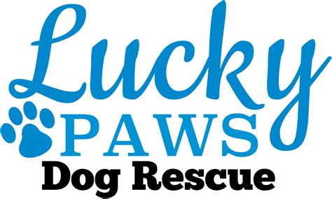 Lucky paws rescue. We are a small group of foster homes, a 501 (C) (3) non-profit organization with the following goals: Rescue animals from situations that are abusive, endangering, or neglectful. … 